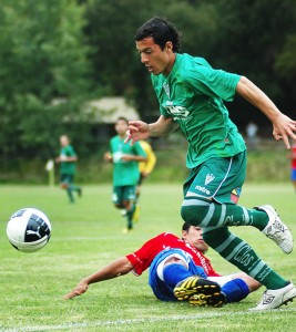 ubilla2011