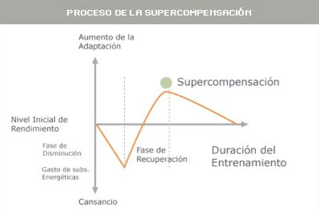 esquema-1